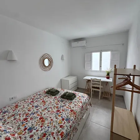 公寓 Centrico Duplex Con Piscina 哈维亚