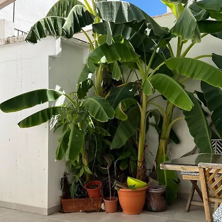 Apartment Centrico Duplex Con Piscina